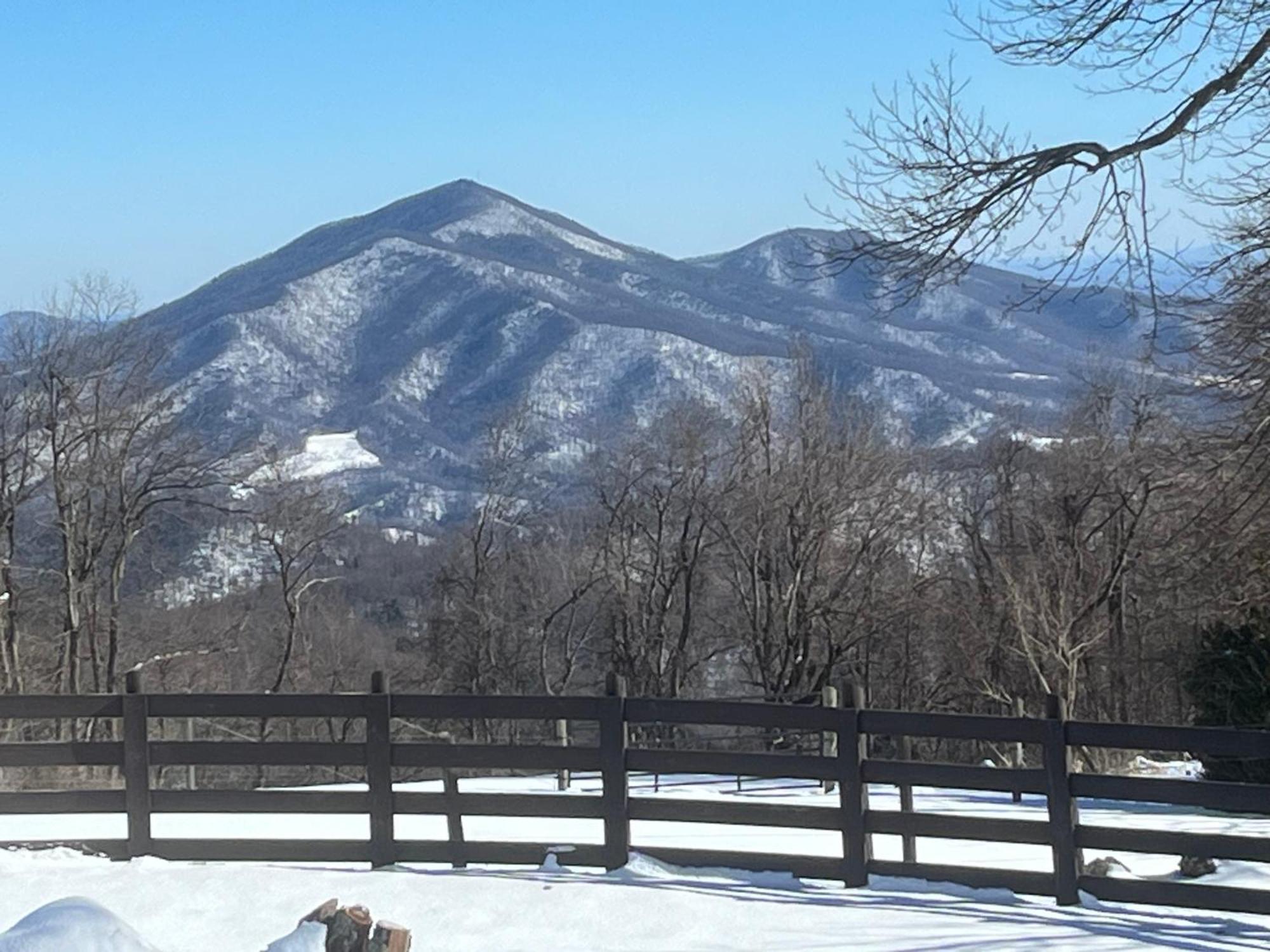 Bent Mountain Lodge ロアノーク エクステリア 写真