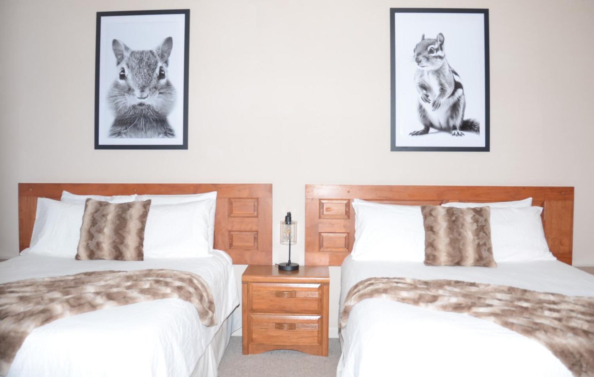 Bent Mountain Lodge ロアノーク エクステリア 写真